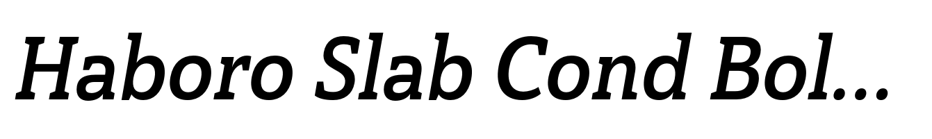 Haboro Slab Cond Bold Italic
